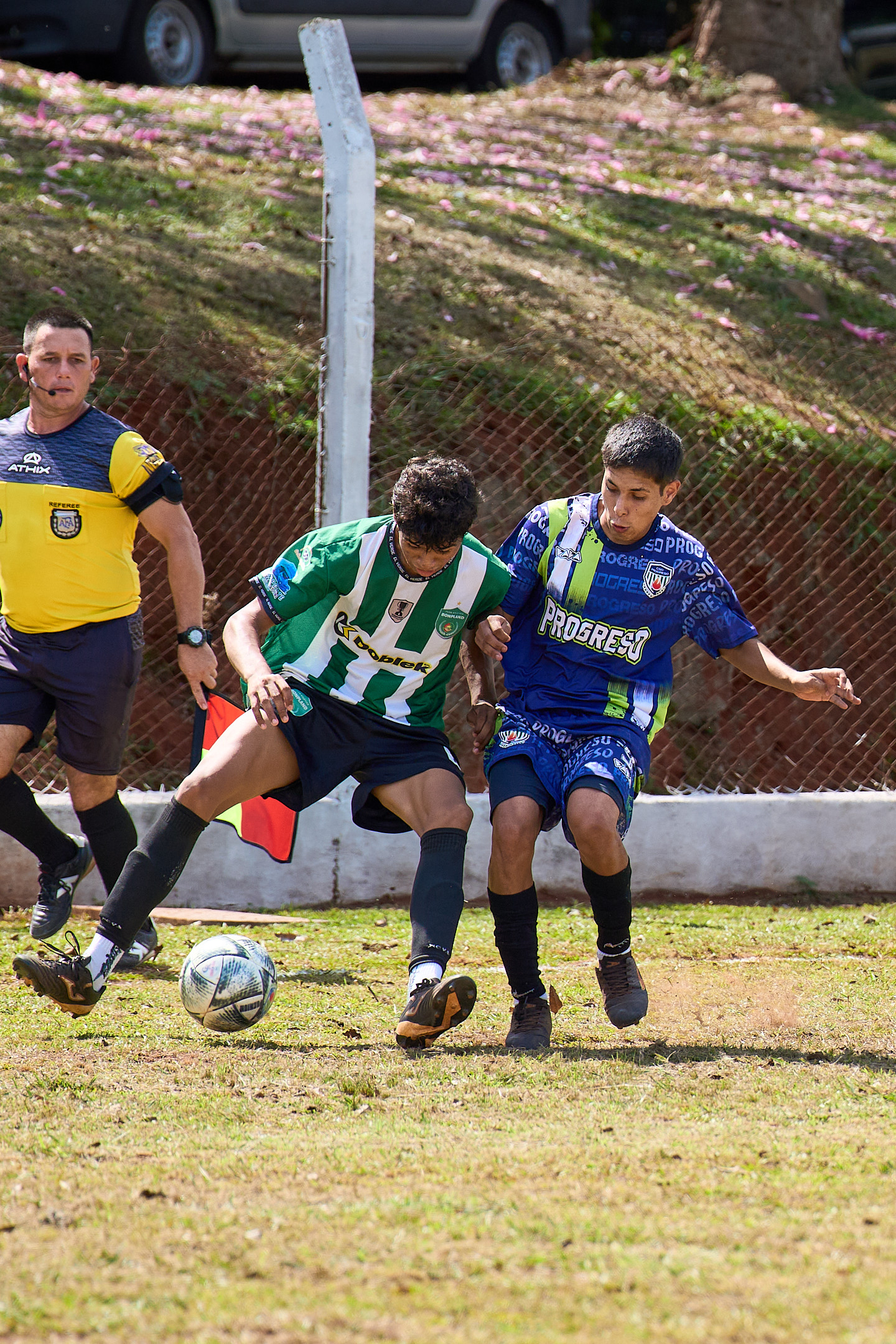Progreso Reserva